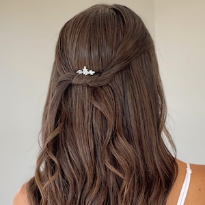 以下が含まれることがあります： 小さな銀色のヘアクリップでスタイリングされた、長く、茶色で波打つ髪をした女性。髪は顔から後ろに引かれて、背中に落ちている。