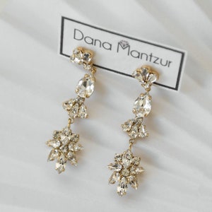 Long Dangle Earrings