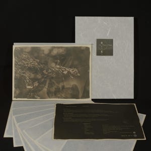 From Dust to Stars – Handmade Cyanotype Portfolio, Limited Edition Tea & Coffee Toned Prints