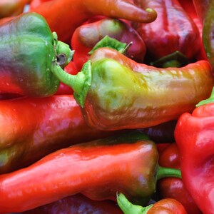 All the colors and within these summer peppers makes for a beautiful photo for a kitchen. What unique image.