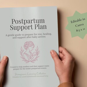 May include: A light gray document titled Postpartum Support Plan with a pink line art illustration of a parent holding a baby. The text includes A gentle guide to prepare for rest, healing, and support after baby arrives and 8.5 x 11 inches.