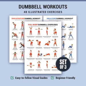 May include: A set of three workout guides with dumbbell exercises. The guides include illustrations for back & posture, abs & core, and full-body workouts. The text reads "Dumbbell Workouts" and "48 Illustrated Exercises."
