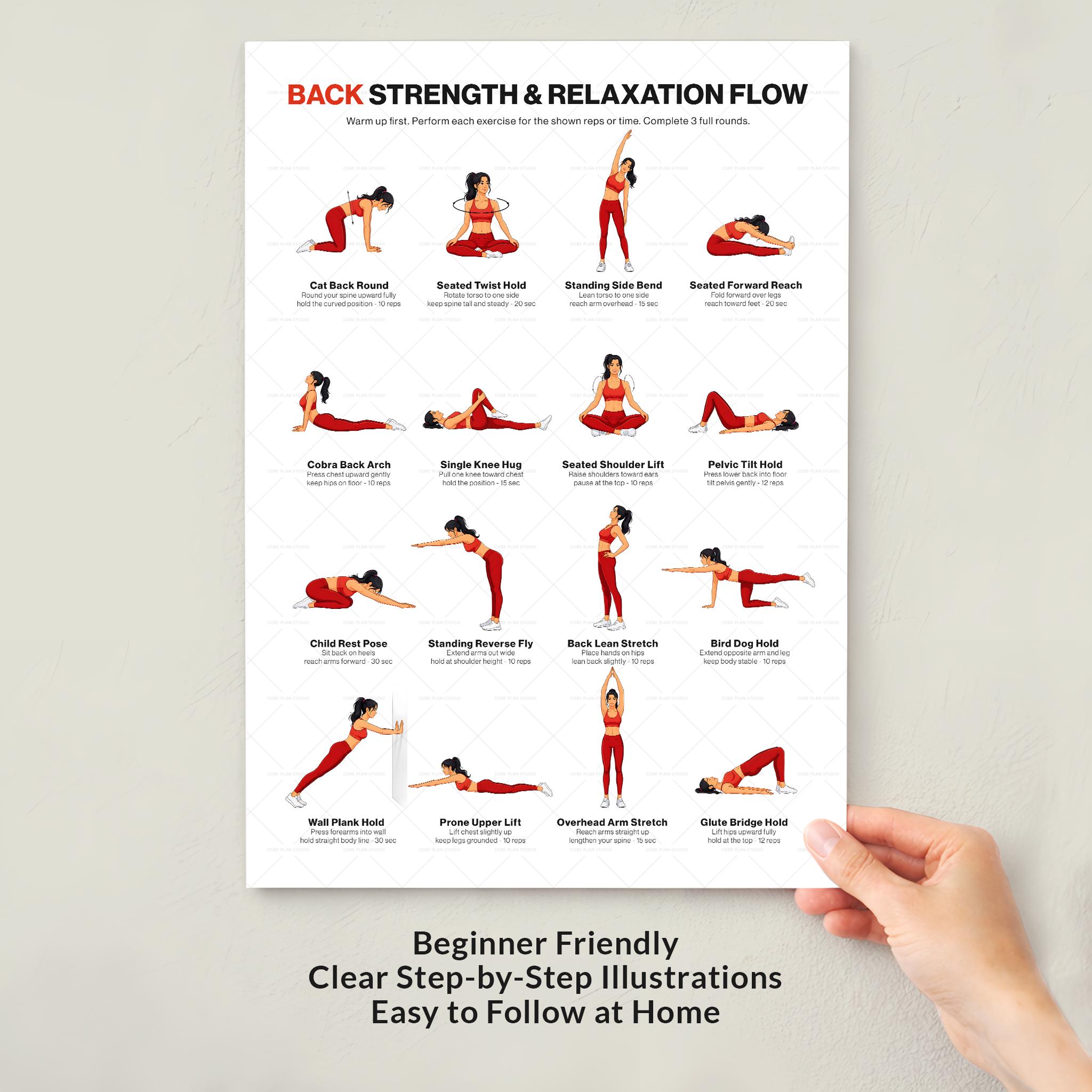 Back Exercises Printable Chart No Equipment Seated Standing Home ...