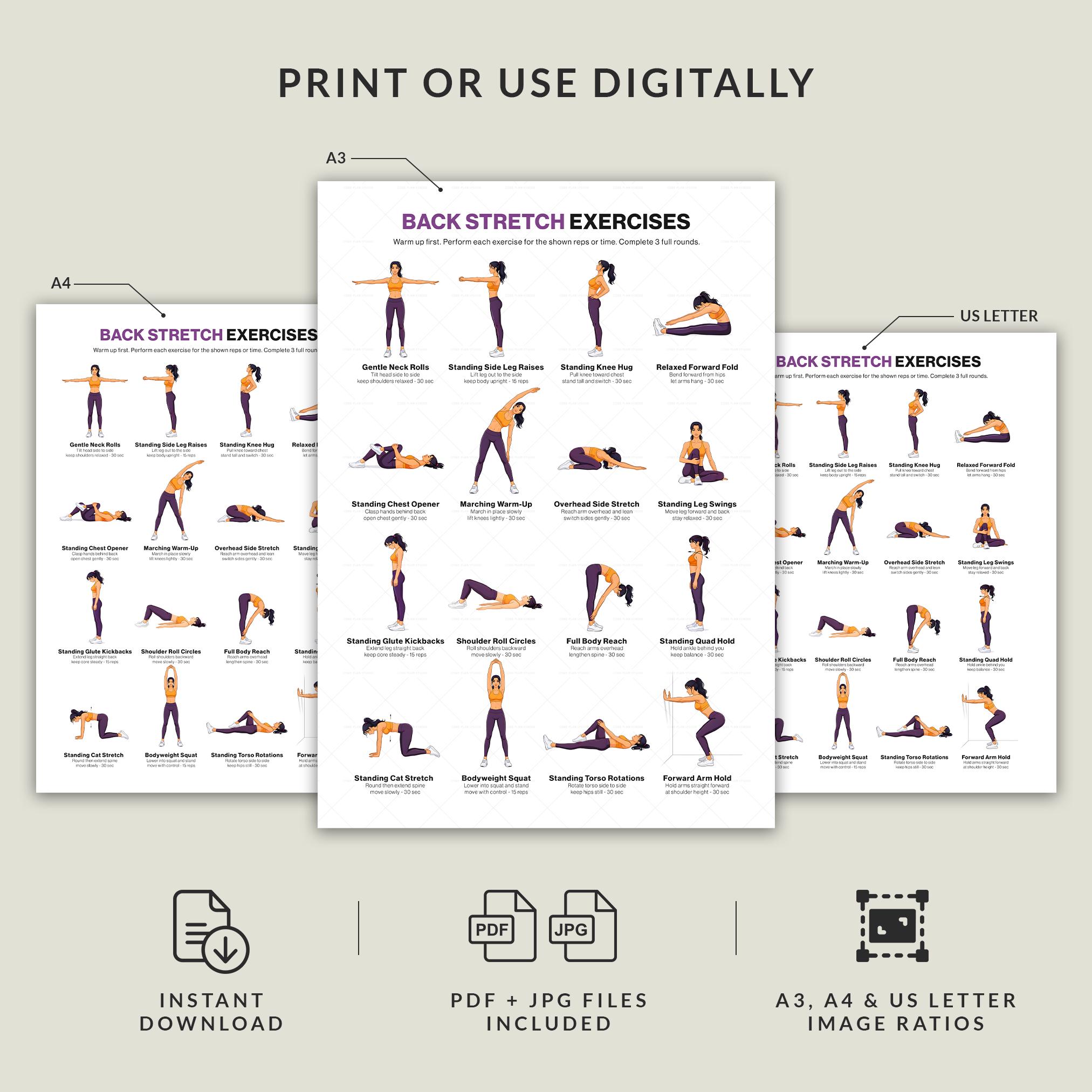Back Stretch Exercises Chart Printable Poster Upper Lower Spine ...