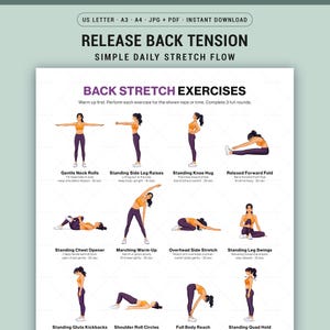 May include: A printable guide with illustrations of back stretch exercises. The guide includes text that reads "Release Back Tension" and "Back Stretch Exercises." The exercises include Gentle Neck Rolls, Standing Side Leg Raises, and Standing Knee Hug.