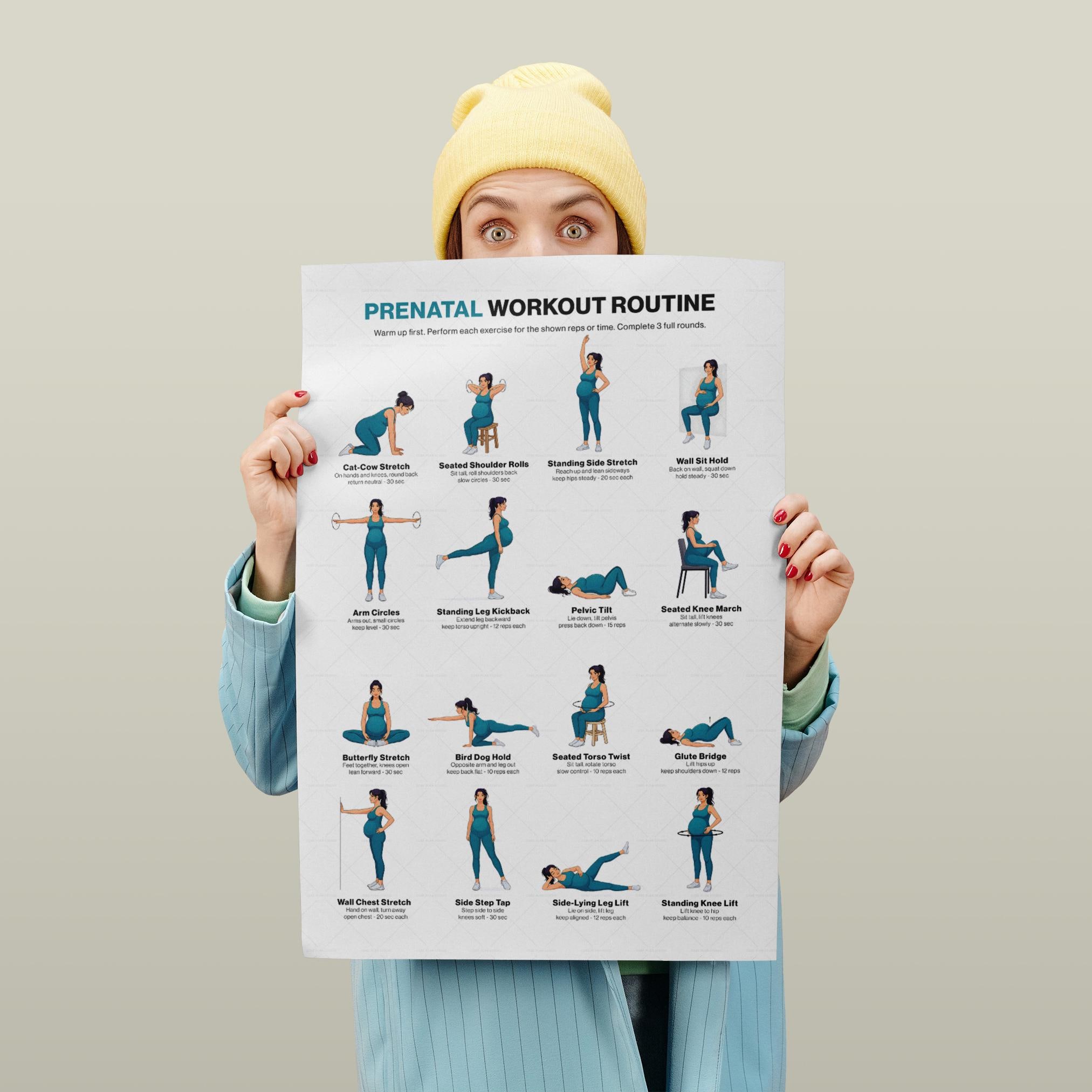 Prenatal Workout Printable Gentle Pregnancy Exercise Chart Full Body ...