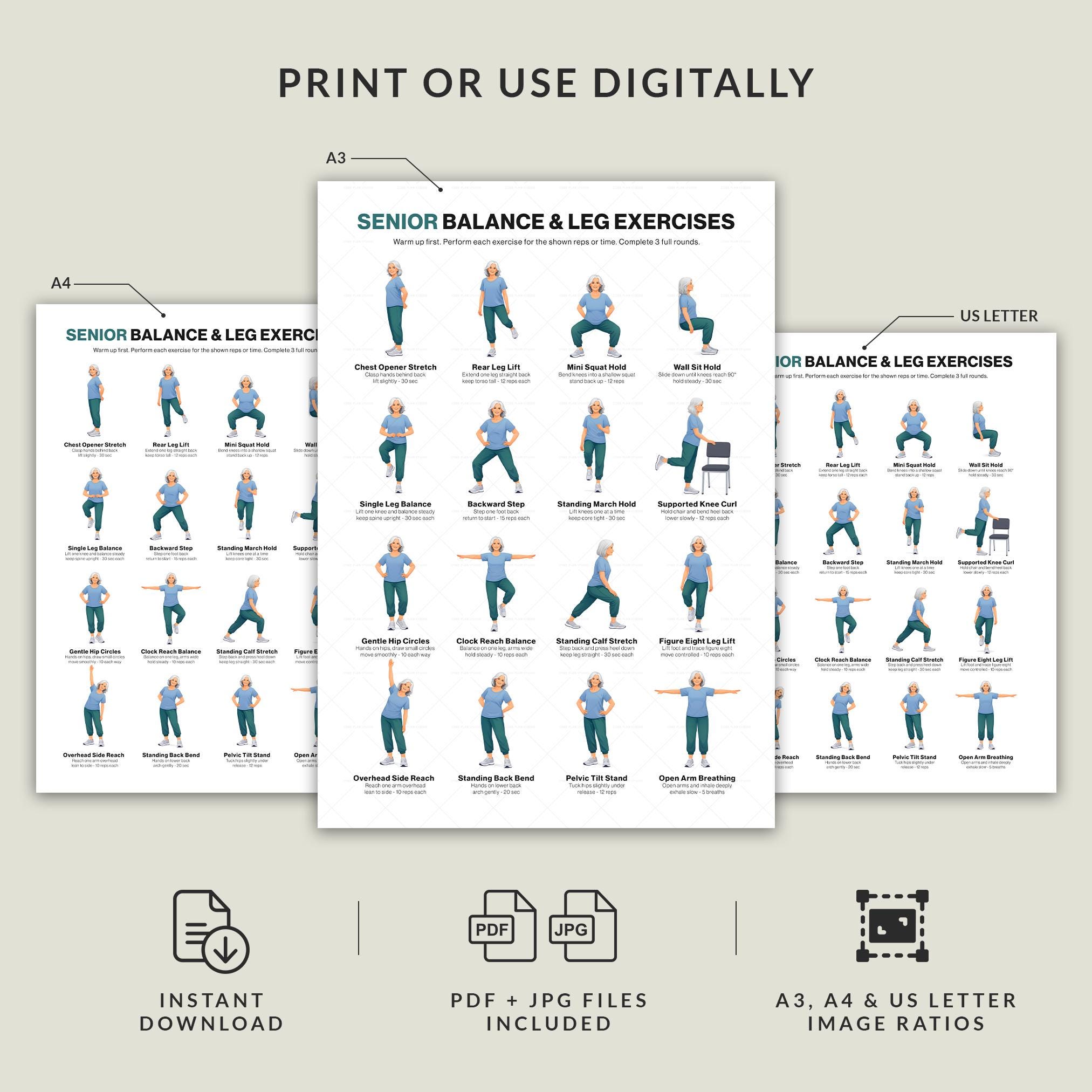 Balance Leg Exercises for Seniors Printable Standing Stability Workout ...