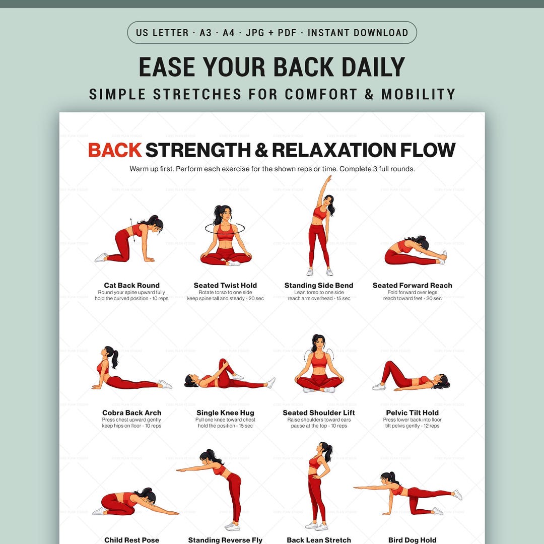 Back Exercises Printable Chart No Equipment Seated Standing Home ...