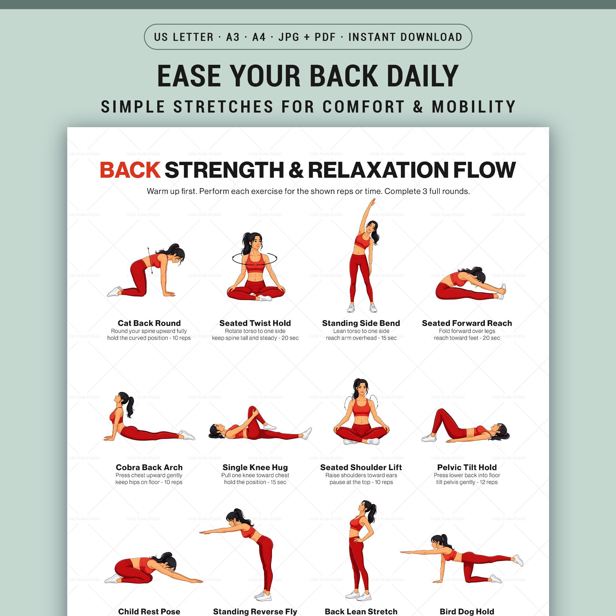 Back Exercises Printable Chart No Equipment Seated Standing Home ...