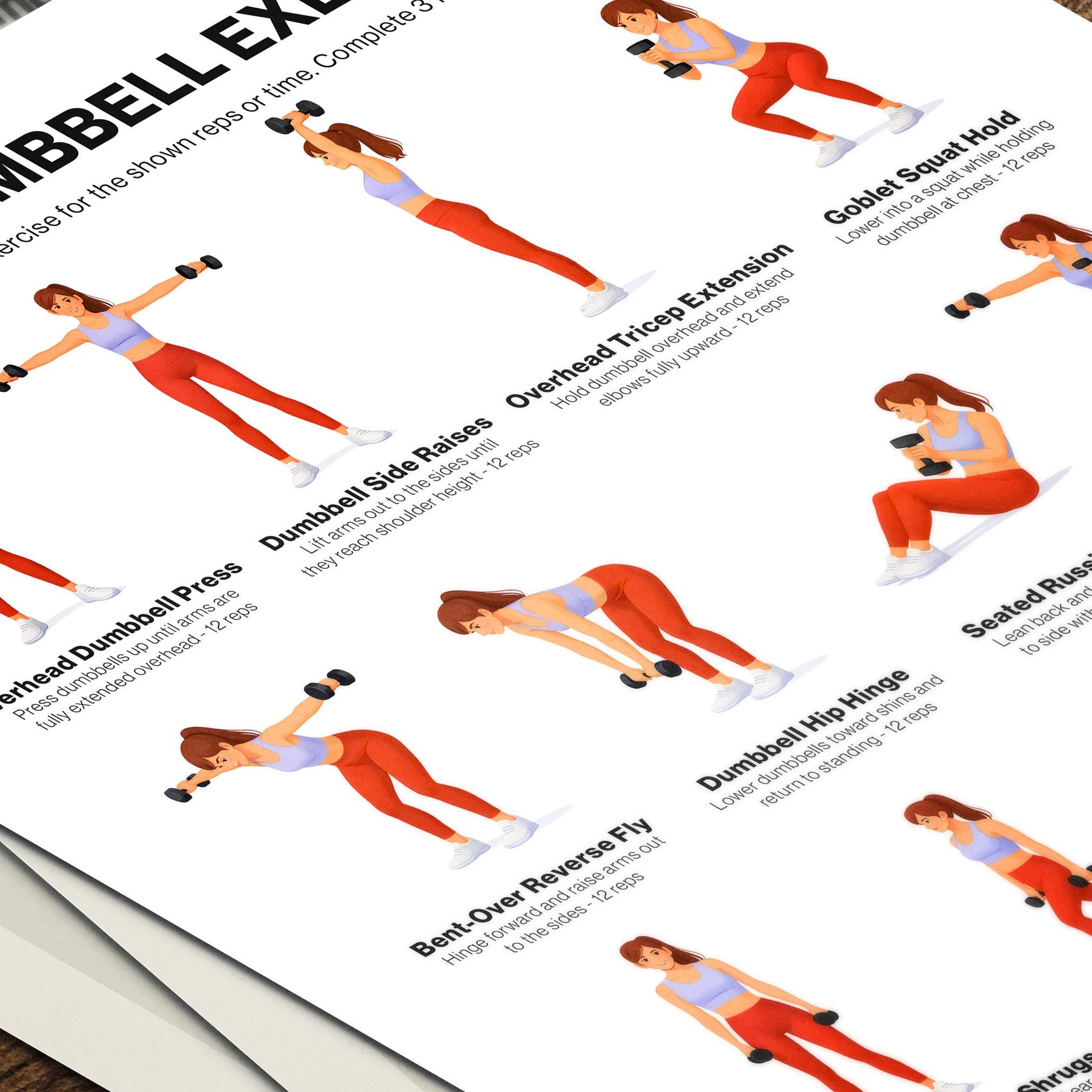 Full Body Dumbbell Workout Chart Printable for Beginners, Home Exercise ...