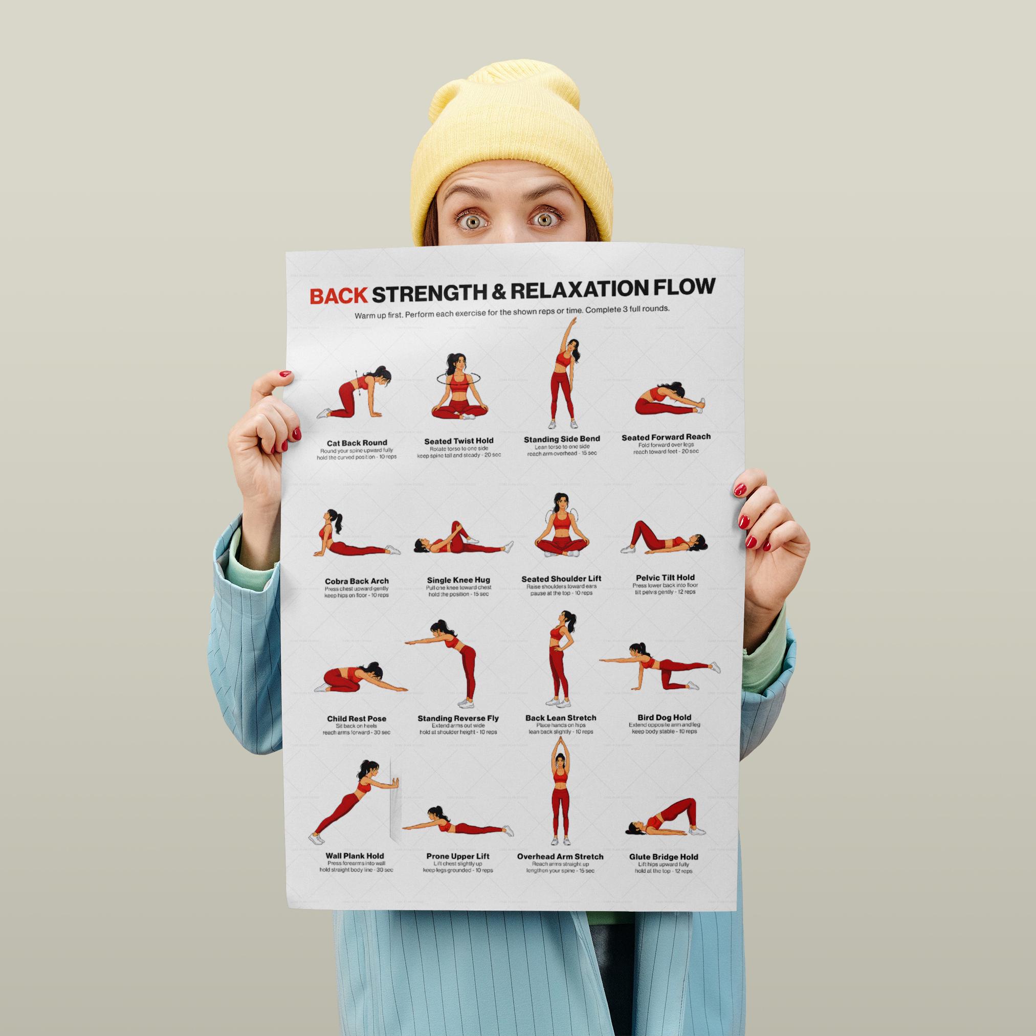 Back Exercises Printable Chart No Equipment Seated Standing Home ...