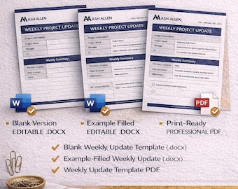 Modelo de Relatório Semanal de Status do Projeto | Painel de Atualização do PMO | Relatórios Executivos
