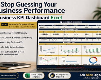 Business KPI Dashboard Excel | Executive Dashboard Template | Company Performance Tracker | Small Business Dashboard Excel