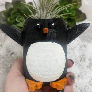 May include: A black and white penguin planter with orange feet, holding a green air plant. The planter has a white belly and black eyes with orange beaks.