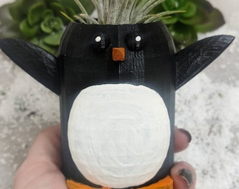 Small Chubby Penguin Planter for Indoor Gardening, Air Plant Holder, 3D Printed
