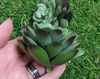 Artificial Succulent for home décor, Floral gift, indoor gardening