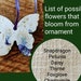 see more listings in the Flower/Herb Seeds section