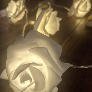 Rose petal LED String Lights, Battery operated Fairy lights for Indoor or patio image 1