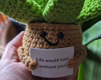 Cute Crochet Succulent Plant, Emotional supportive gift, or Thinking of You Friendship Gift, Plant lover gift