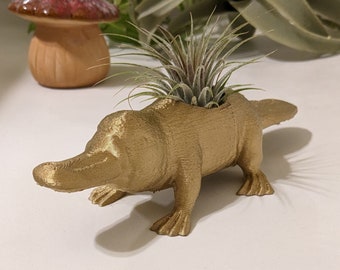 Cute Platypus Planter , for Indoor Gardening, air plant planter or small succulent planter