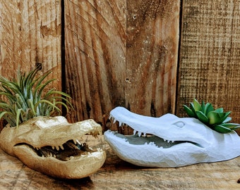 Jardinière en alligator, jardinière en tête d'alligator, pour le jardinage d'intérieur, pour petites plantes grasses ou plantes aériennes