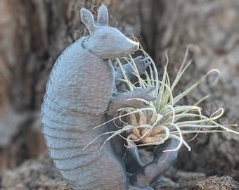 Cute Armadillo Planter with live Air plant, Indoor planter, 3D printed
