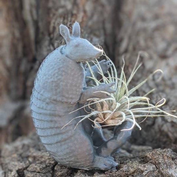 Cute Armadillo Planter with live Air plant, Indoor planter, 3D printed