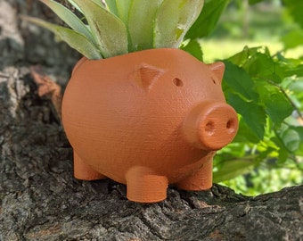 Pig Planter for Small Succulents or Air Plants, Indoor Garden Planter, 3D Printed