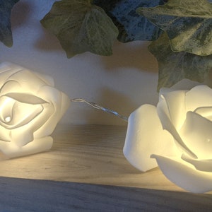 Rose petal LED String Lights, Battery operated Fairy lights for Indoor or patio image 5