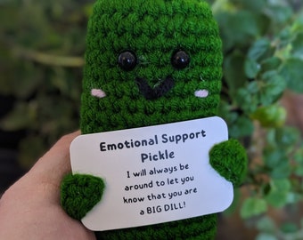 Cute Crochet Positive Pickle, Send a Hug, Thinking of You, Cheer Up Gift, Emotional Support Pickle