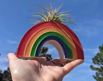 Rainbow Air Plant Planter with LIVE Air Plant, for Indoor Gardening