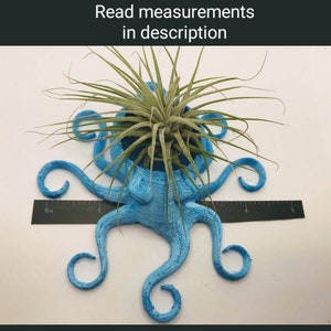 Octopus Planter, 3D Printed, for Indoor Gardening for AIR PLANTS image 5