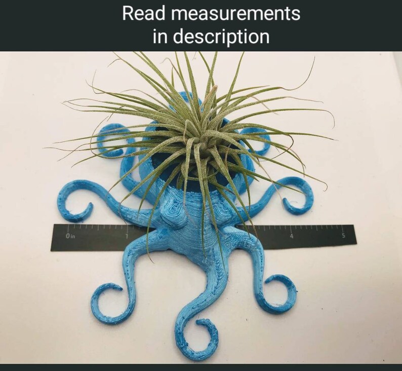 Octopus Planter, 3D Printed, for Indoor Gardening for AIR PLANTS image 5