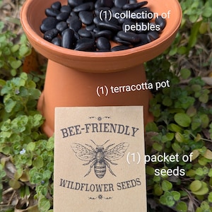 May include: A terracotta pot filled with black pebbles, a packet of wildflower seeds, and the text "Create a Garden & Bee watering station". The packet is labeled "Bee-Friendly Wildflower Seeds".