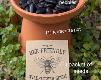 Watering Bee Station & Wildflower Seed Kit – Create a Bee-Friendly Garden. Pollinators Watering Station