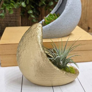 Crescent Moon Planter for Air plants, Indoor gardening image 1