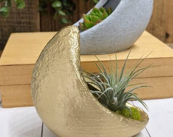 Crescent Moon Planter for Air plants, Indoor gardening