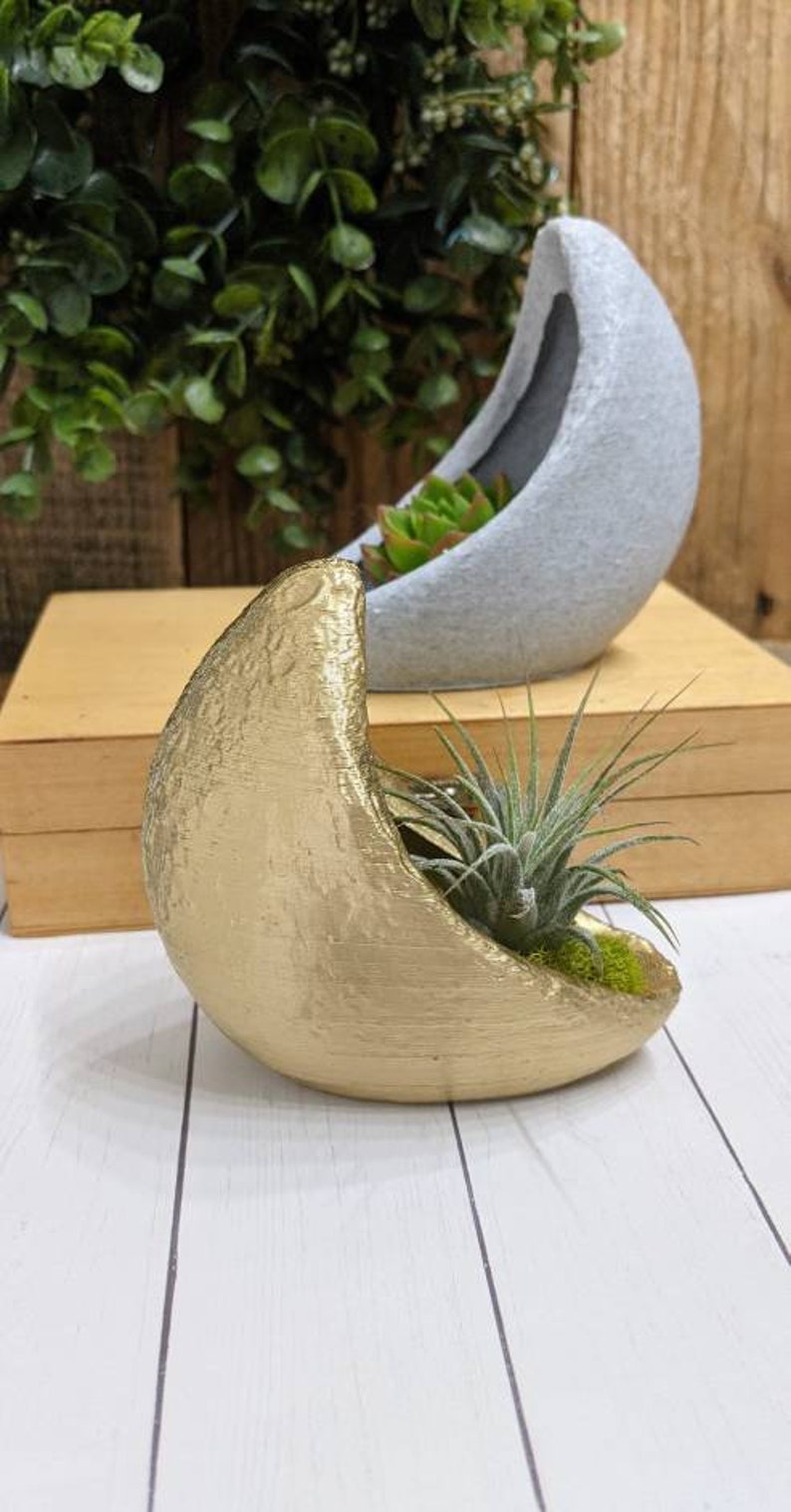 Crescent Moon Planter for Air plants, Indoor gardening image 1