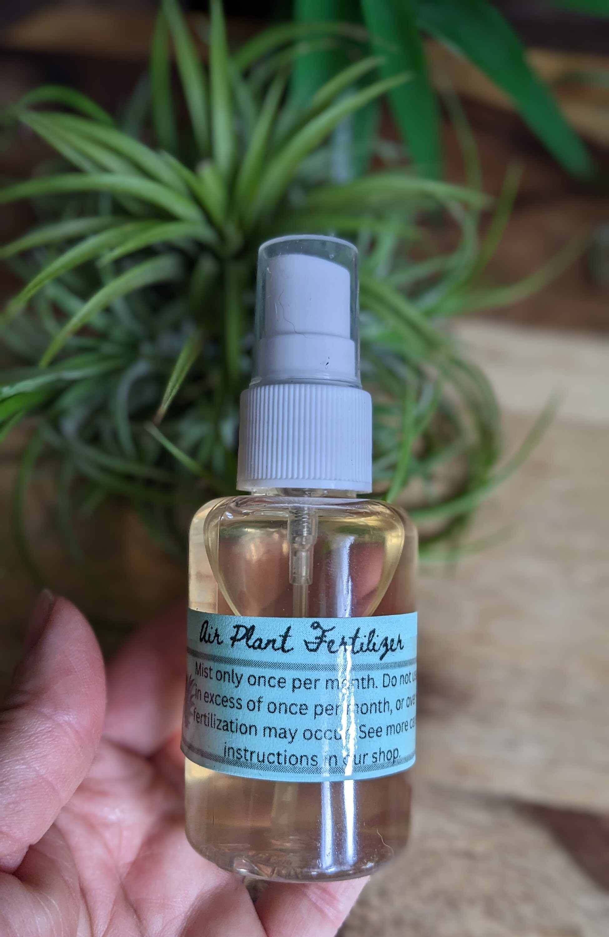 Ready to Use Air Plant Fertilizer Food , 2oz Bottle, Liquid Fertilizer for Tillandsia  Plants - Etsy