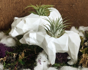 Polar bear Planter Set, Air Plant planters for Indoor gardening