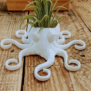 Octopus Planter, 3D Printed, for Indoor Gardening for AIR PLANTS image 2