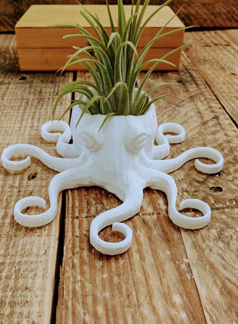 Octopus Planter, 3D Printed, for Indoor Gardening for AIR PLANTS image 2