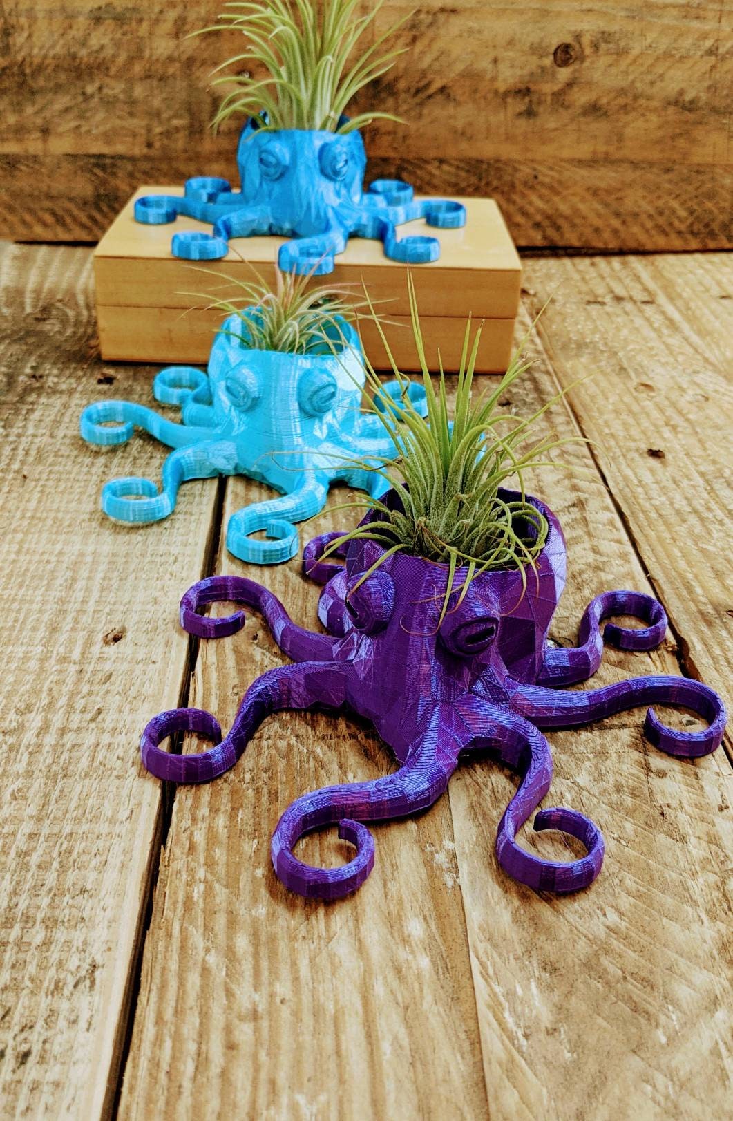 Octopus Planter, 3D Printed, for Indoor Gardening for AIR PLANTS