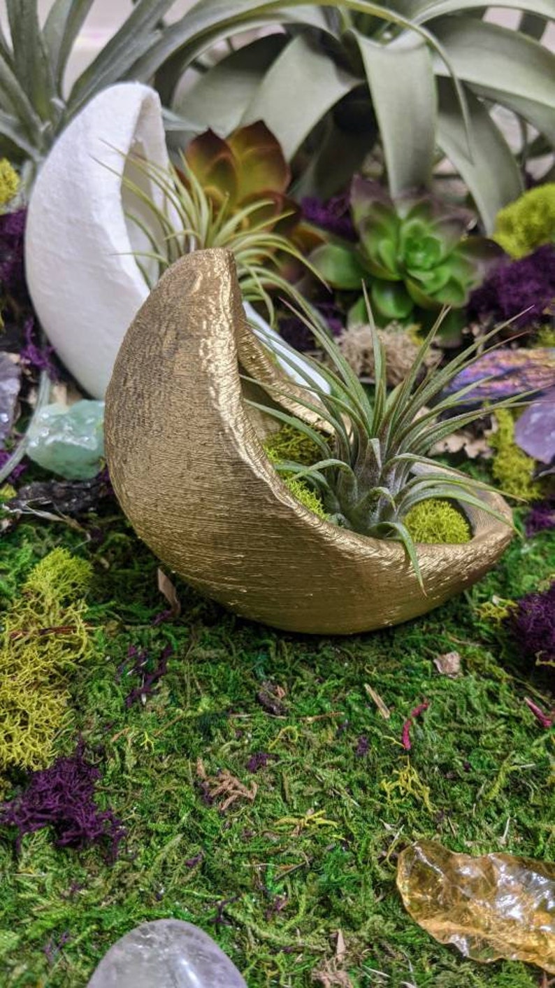 Crescent Moon Planter for Air plants, Indoor gardening image 7