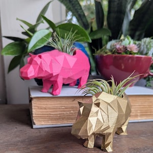 3D Printed Hippo Planter for Air plants or small succulents