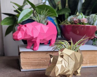 3D Printed Hippo Planter for Air plants or small succulents