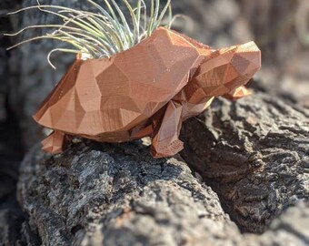 Small Turtle Planter for Air plants, Indoor Gardening