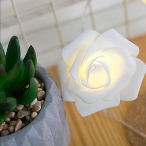 Rose petal LED String Lights, Battery operated Fairy lights for Indoor or patio image 10