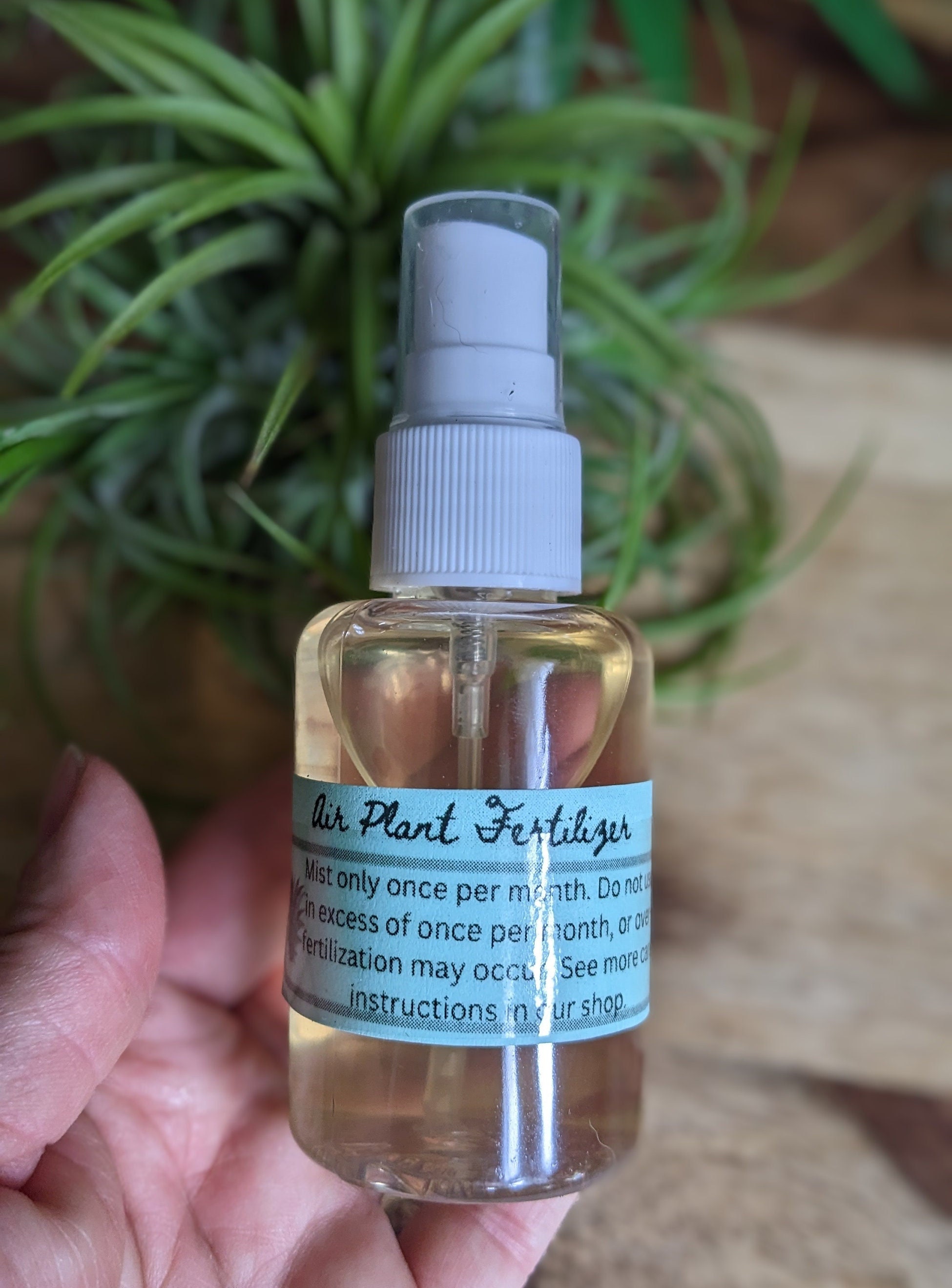 Ready to Use Air Plant Fertilizer Food , 2oz Bottle, Liquid Fertilizer for Tillandsia  Plants - Etsy