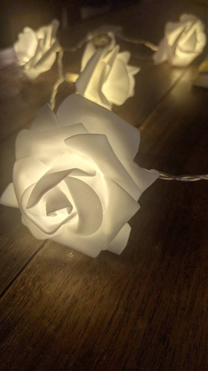 Rose petal LED String Lights, Battery operated Fairy lights for Indoor or patio image 9